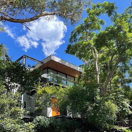 Tranquil Garden Apartment With Living Room Wollongong Eksteriør billede